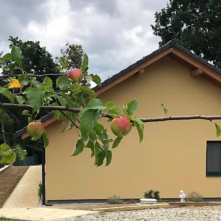 Prazdninovy Dum Dirna