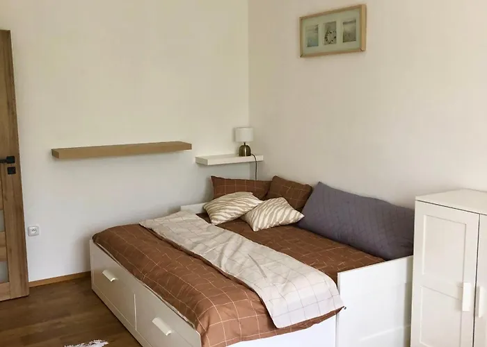 別荘 Prazdninovy Dum